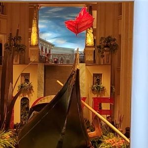 Meet your Posher, Yisel